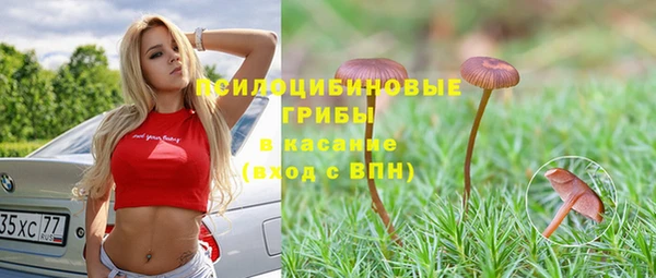 спайс Дмитриев